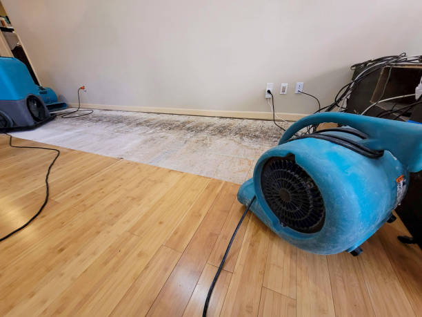 Professional Water Damage Repair technician working in Riva, MD